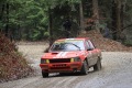 RHWR-2023-1358