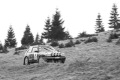 Copie-de-RHWR-2023-0721