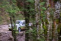 Copie-de-RHWR-2023-0785