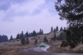 Copie-de-RHWR-2023-0992