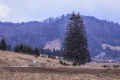 RHWR-2023-0129