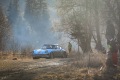 RHWR-2023-0217
