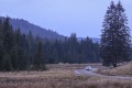 RHWR-2023-0245