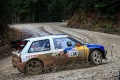 RHWR-2023-0323