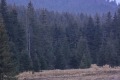 RHWR-2023-0919