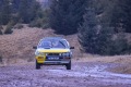 RHWR-2023-0985